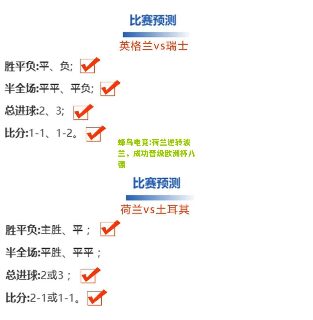 荷兰逆转波兰，成功晋级欧洲杯八强