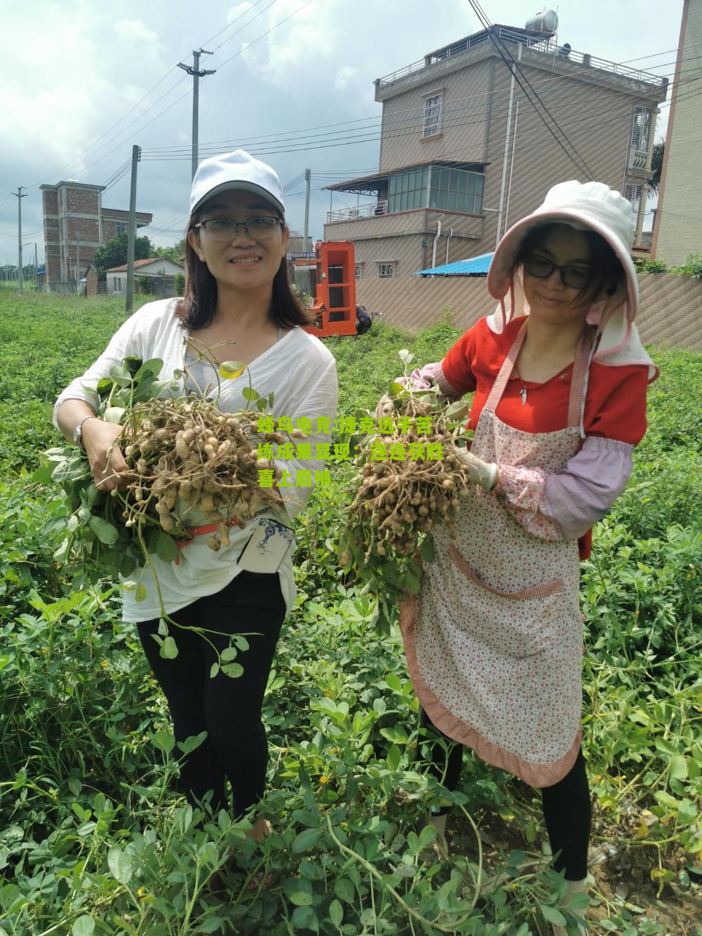 捷克选手苦练成果显现：连连获胜喜上眉梢