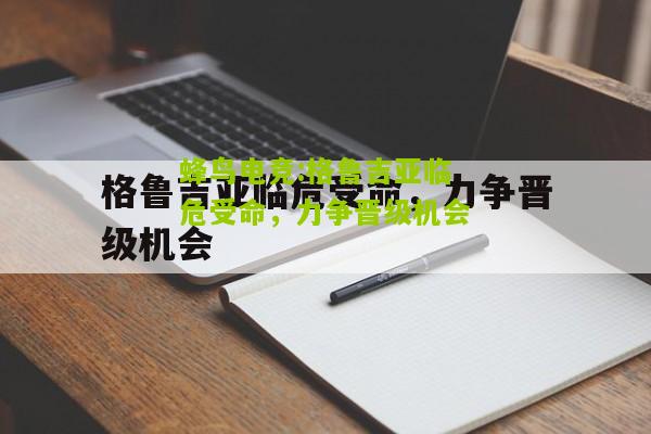 格鲁吉亚临危受命，力争晋级机会